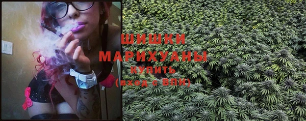 эйфоретик Вяземский