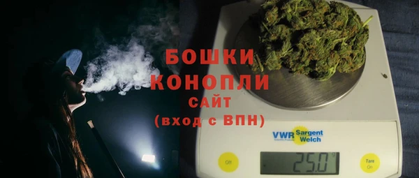 индика Вязьма