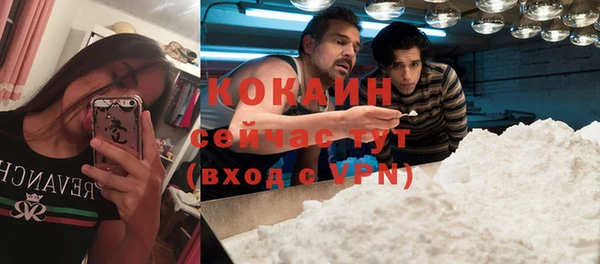 шишки Киренск