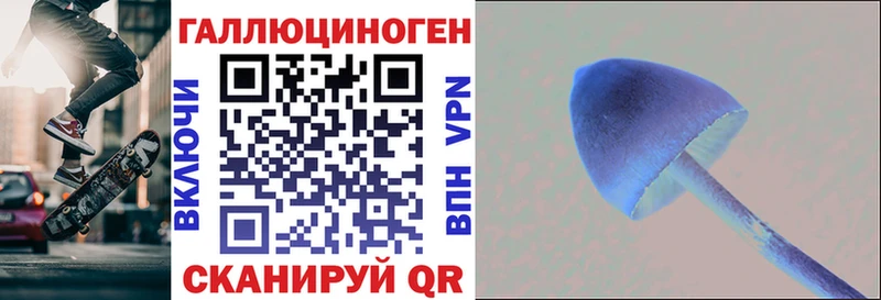 Псилоцибиновые грибы Cubensis Липецк
